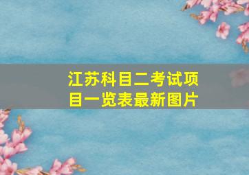 江苏科目二考试项目一览表最新图片