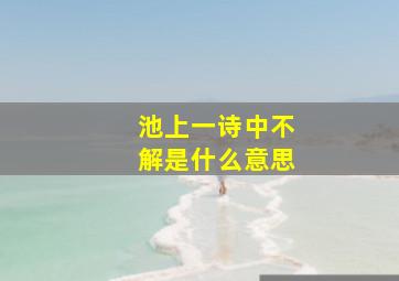 池上一诗中不解是什么意思