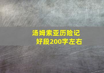 汤姆索亚历险记好段200字左右