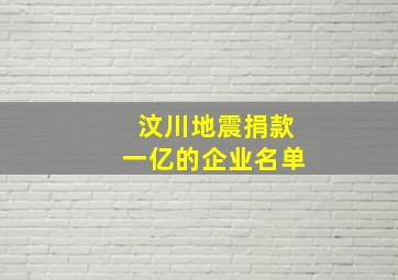 汶川地震捐款一亿的企业名单