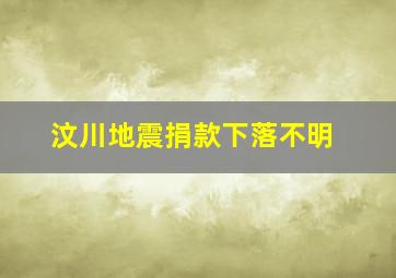 汶川地震捐款下落不明