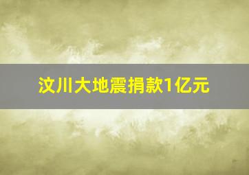 汶川大地震捐款1亿元