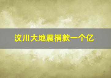 汶川大地震捐款一个亿