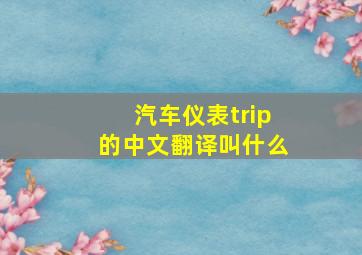 汽车仪表trip的中文翻译叫什么