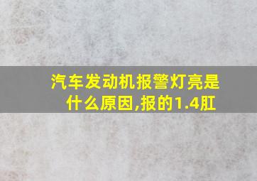 汽车发动机报警灯亮是什么原因,报的1.4肛