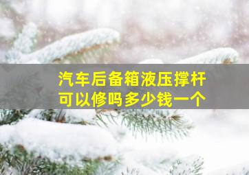 汽车后备箱液压撑杆可以修吗多少钱一个