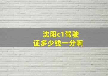 沈阳c1驾驶证多少钱一分啊