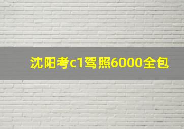 沈阳考c1驾照6000全包