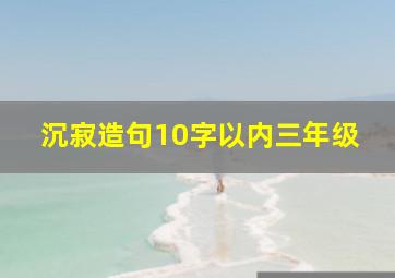 沉寂造句10字以内三年级