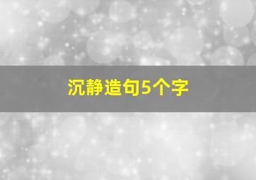 沉静造句5个字