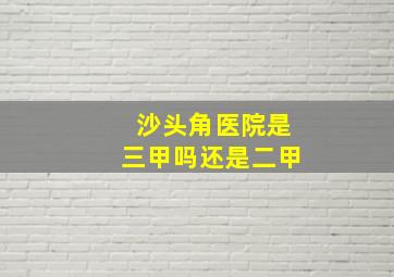 沙头角医院是三甲吗还是二甲