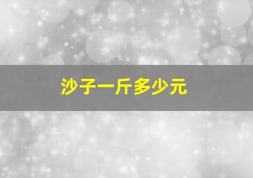 沙子一斤多少元