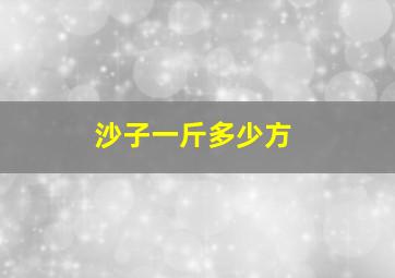 沙子一斤多少方