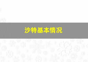 沙特基本情况