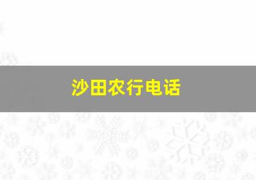 沙田农行电话