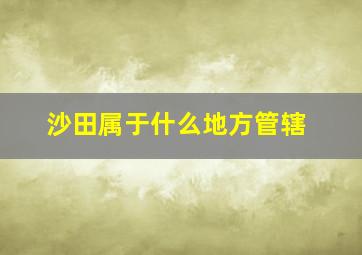 沙田属于什么地方管辖