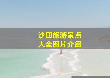 沙田旅游景点大全图片介绍