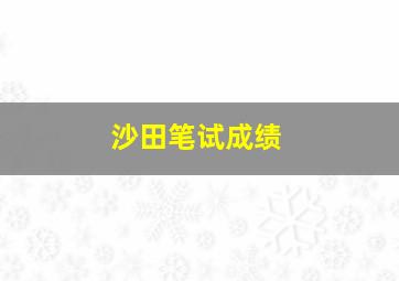 沙田笔试成绩