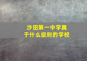 沙田第一中学属于什么级别的学校