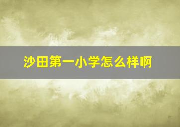 沙田第一小学怎么样啊