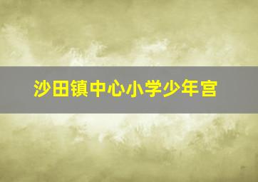 沙田镇中心小学少年宫