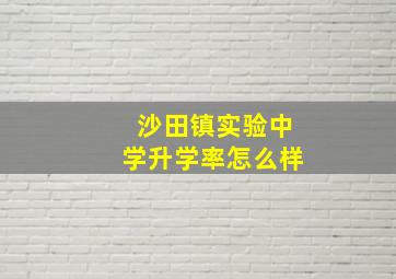 沙田镇实验中学升学率怎么样