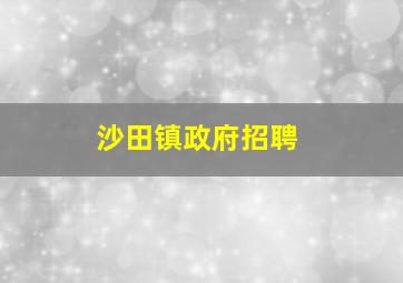 沙田镇政府招聘