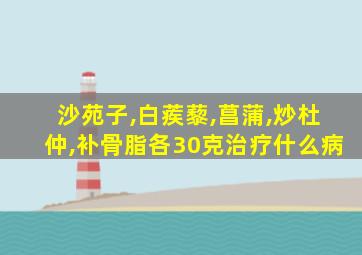 沙苑子,白蒺藜,菖蒲,炒杜仲,补骨脂各30克治疗什么病