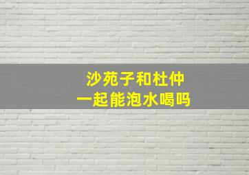 沙苑子和杜仲一起能泡水喝吗