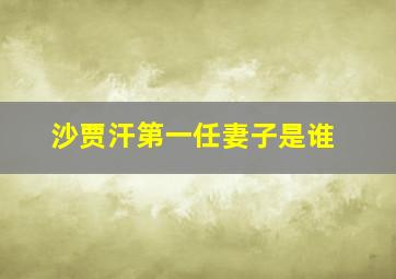 沙贾汗第一任妻子是谁