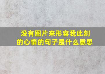 没有图片来形容我此刻的心情的句子是什么意思