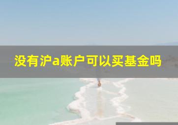 没有沪a账户可以买基金吗