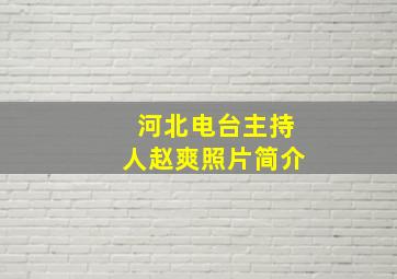 河北电台主持人赵爽照片简介