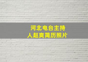 河北电台主持人赵爽简历照片