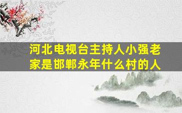 河北电视台主持人小强老家是邯郸永年什么村的人