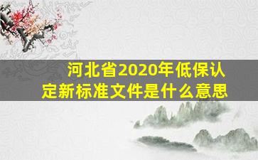 河北省2020年低保认定新标准文件是什么意思