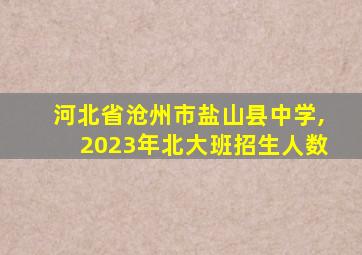 河北省沧州市盐山县中学,2023年北大班招生人数