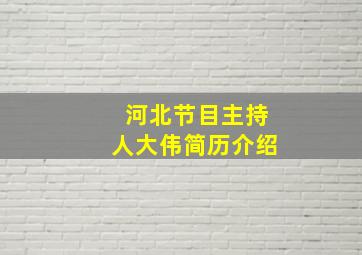 河北节目主持人大伟简历介绍