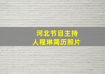 河北节目主持人程琳简历照片