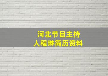 河北节目主持人程琳简历资料