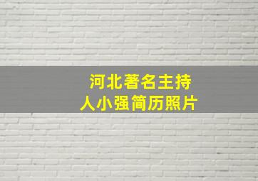 河北著名主持人小强简历照片