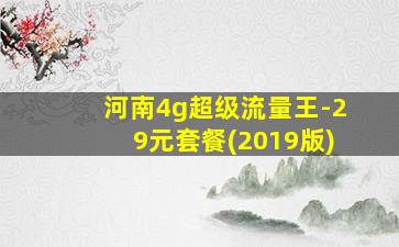 河南4g超级流量王-29元套餐(2019版)