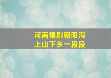 河南豫剧朝阳沟上山下乡一段段