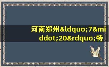 河南郑州“7·20”特大暴雨灾害调查组