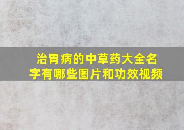 治胃病的中草药大全名字有哪些图片和功效视频