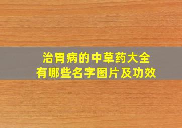 治胃病的中草药大全有哪些名字图片及功效