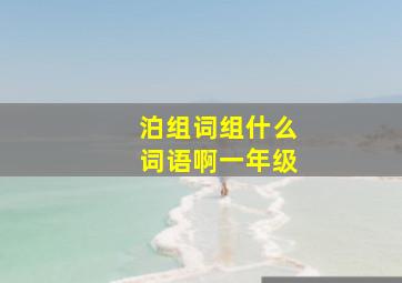 泊组词组什么词语啊一年级