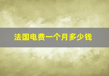 法国电费一个月多少钱