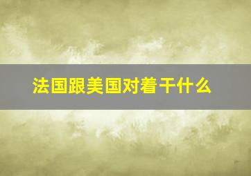 法国跟美国对着干什么