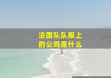 法国队队服上的公鸡是什么